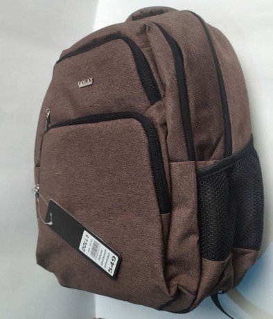 Школьный рюкзак Dolly 549