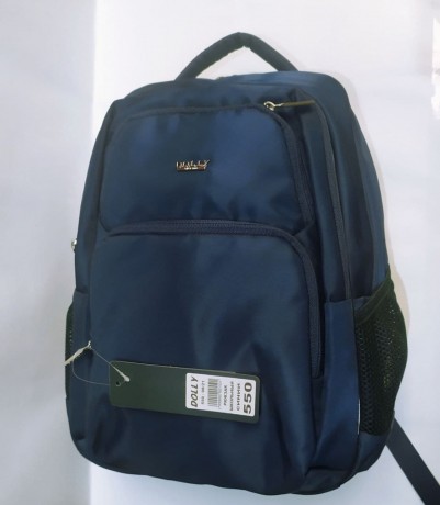 Школьный рюкзак Dolly 550