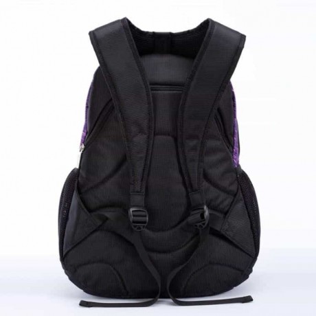 Школьный рюкзак Dolly 372