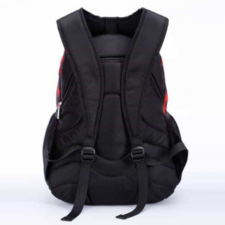 Школьный рюкзак Dolly 373