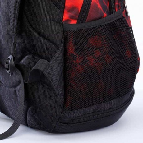 Школьный рюкзак Dolly 373