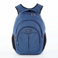 Школьный рюкзак Dolly 375