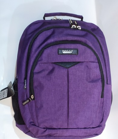 Школьный рюкзак Dolly 375