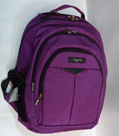 Школьный рюкзак Dolly 375