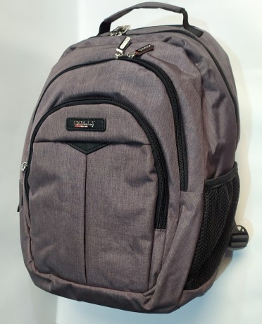 Школьный рюкзак Dolly 375