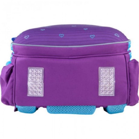 Рюкзак GoPack Education полукаркасный 165-1 Butterflies