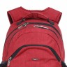 Школьный рюкзак Dolly 384
