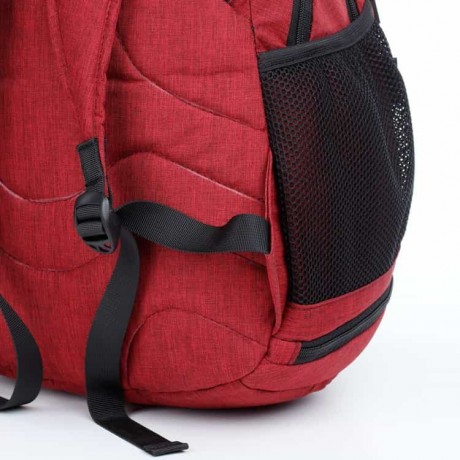 Школьный рюкзак Dolly 384