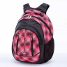 Школьный рюкзак Dolly 510