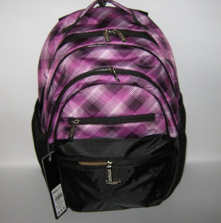 Школьный рюкзак Dolly 511