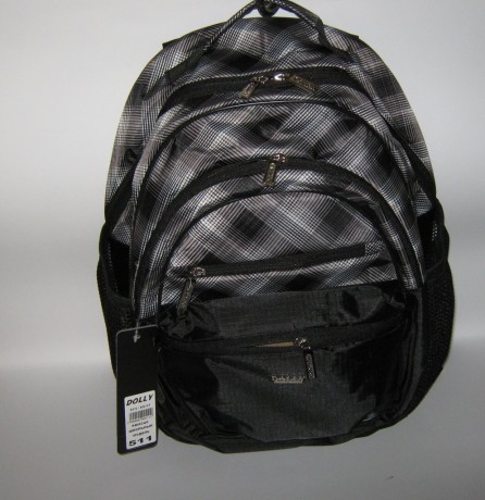 Школьный рюкзак Dolly 511