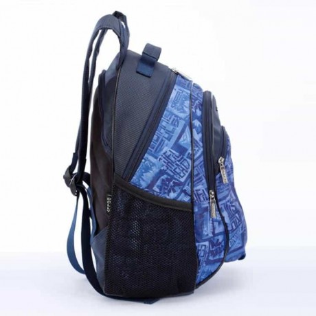 Школьный рюкзак Dolly 513