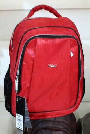 Школьный рюкзак Dolly 516