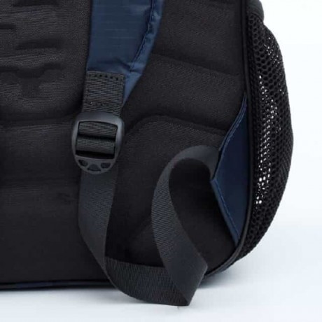 Школьный рюкзак Dolly 517