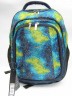 Школьный рюкзак Dolly 517