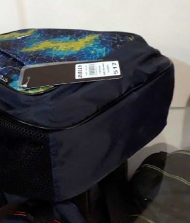 Школьный рюкзак Dolly 517