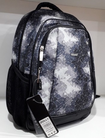 Школьный рюкзак Dolly 517