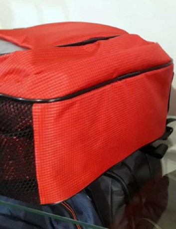 Школьный рюкзак Dolly 518