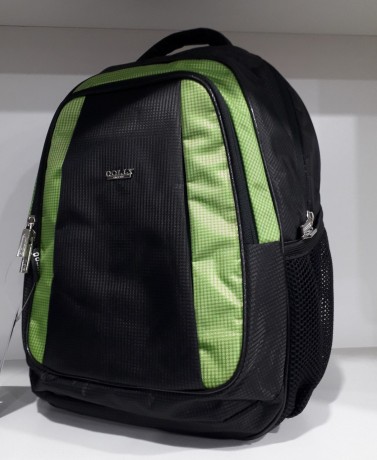 Школьный рюкзак Dolly 518