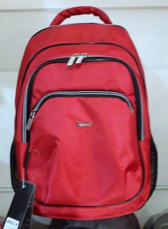 Школьный рюкзак Dolly 519