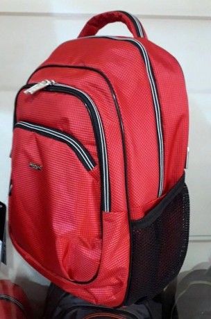 Школьный рюкзак Dolly 519