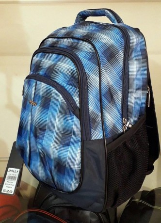 Школьный рюкзак Dolly 520