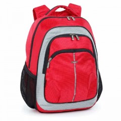 Школьный рюкзак Dolly 521