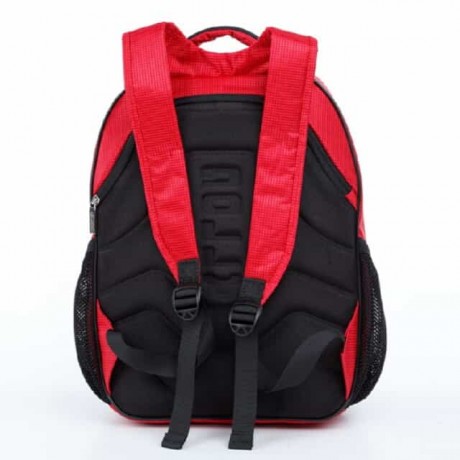 Школьный рюкзак Dolly 521