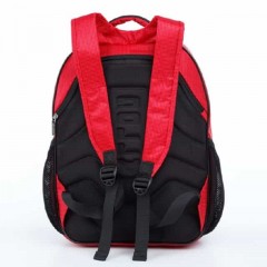 Школьный рюкзак Dolly 521