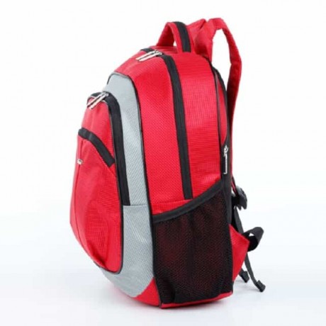 Школьный рюкзак Dolly 521