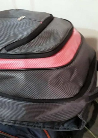 Школьный рюкзак Dolly 521