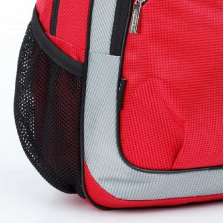 Школьный рюкзак Dolly 521