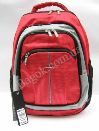 Школьный рюкзак Dolly 521