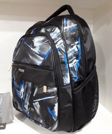 Школьный рюкзак Dolly 523