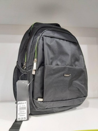 Школьный рюкзак Dolly 525