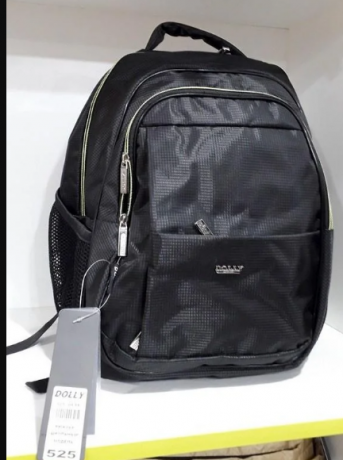 Школьный рюкзак Dolly 525
