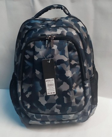 Школьный рюкзак Dolly 528