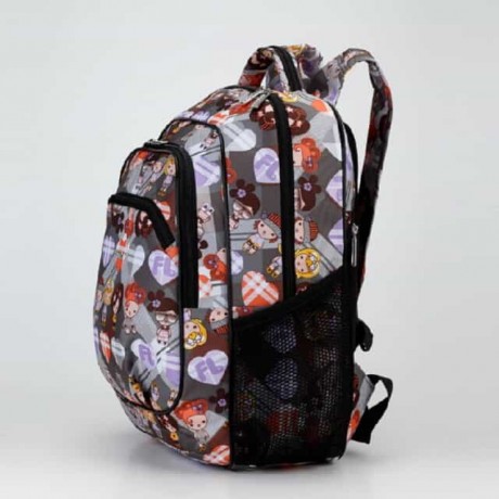 Школьный рюкзак Dolly 530