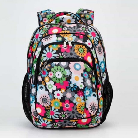 Школьный рюкзак Dolly 531