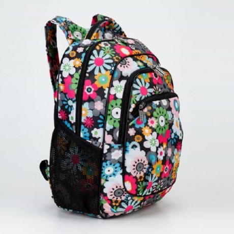 Школьный рюкзак Dolly 531