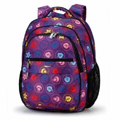 Школьный рюкзак Dolly 532