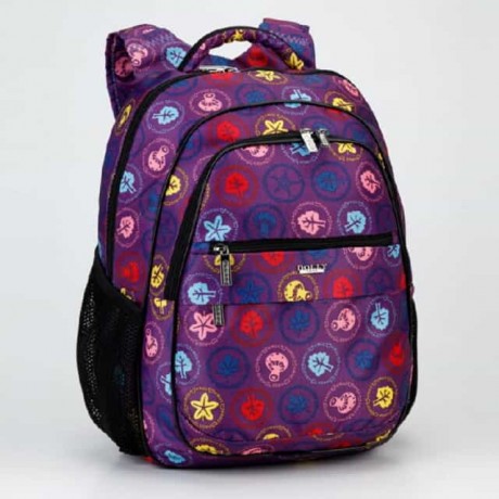 Школьный рюкзак Dolly 532