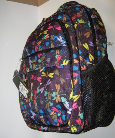 Школьный рюкзак Dolly 533