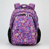 Школьный рюкзак Dolly 534