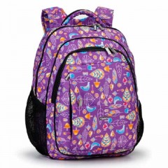 Школьный рюкзак Dolly 534