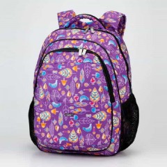 Школьный рюкзак Dolly 534
