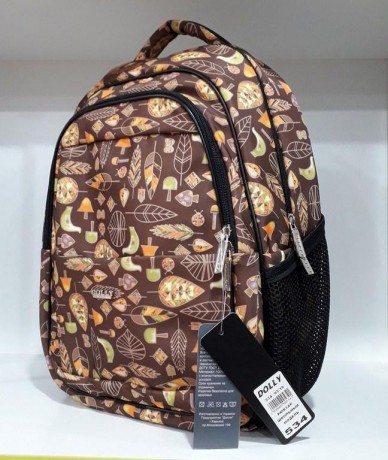 Школьный рюкзак Dolly 534