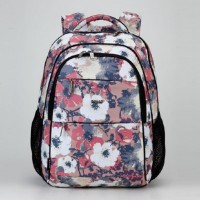 Школьный рюкзак Dolly 536
