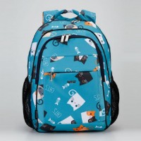 Школьный рюкзак Dolly 538