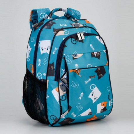 Школьный рюкзак Dolly 538